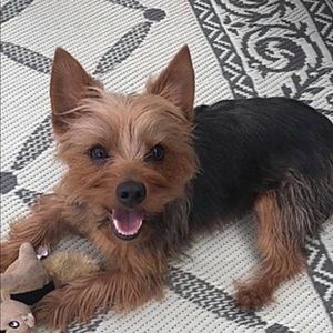 Meet your Posher, Mercy